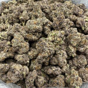 CHERRY LIME GELATO Nose